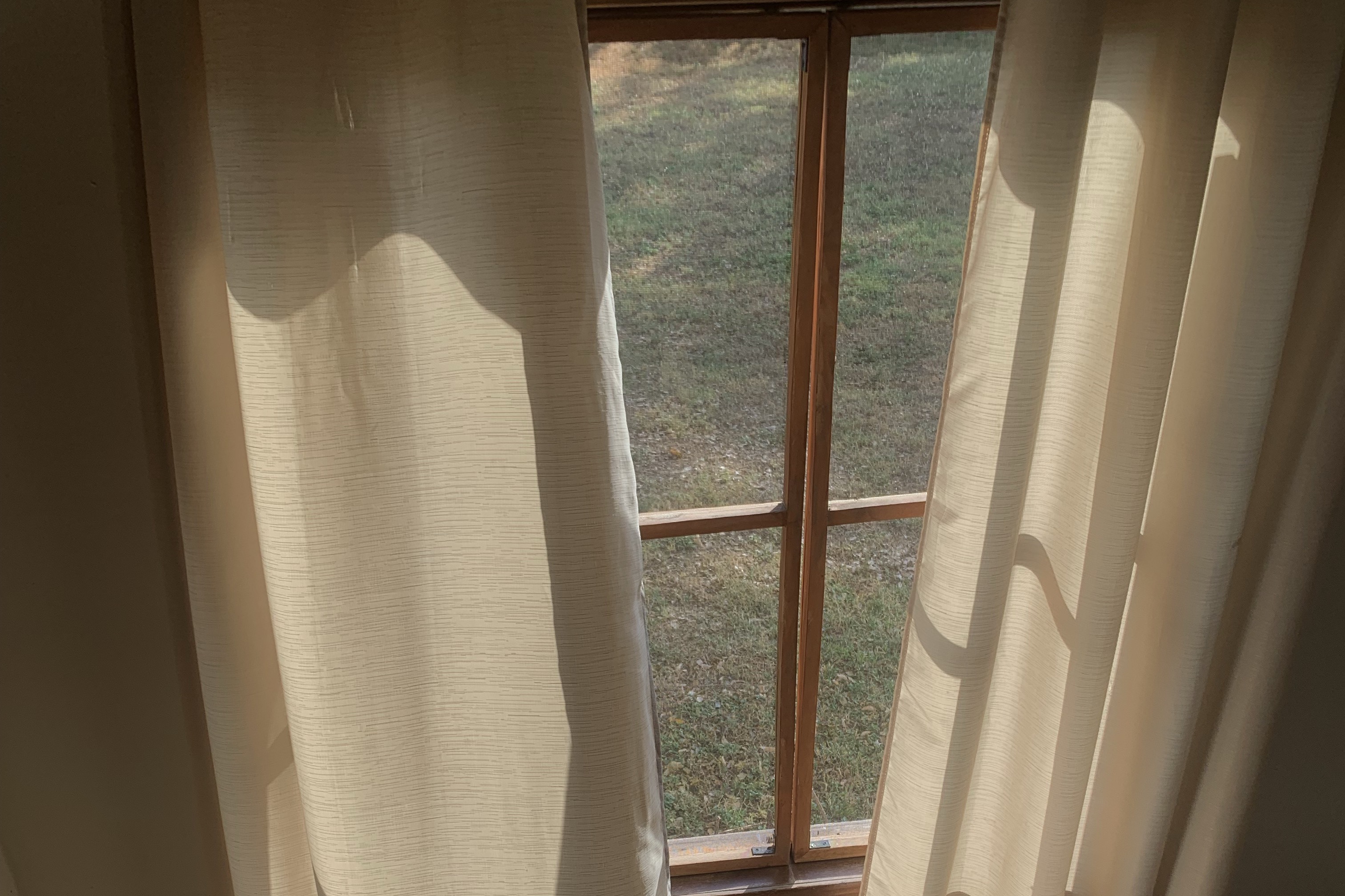 Cream curtains around a timber-framed window looking onto the garden in morning light