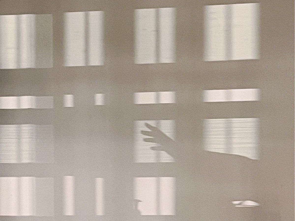 Afternoon light from a window falling across a plain wall, with the shadow of a hand reaching into it